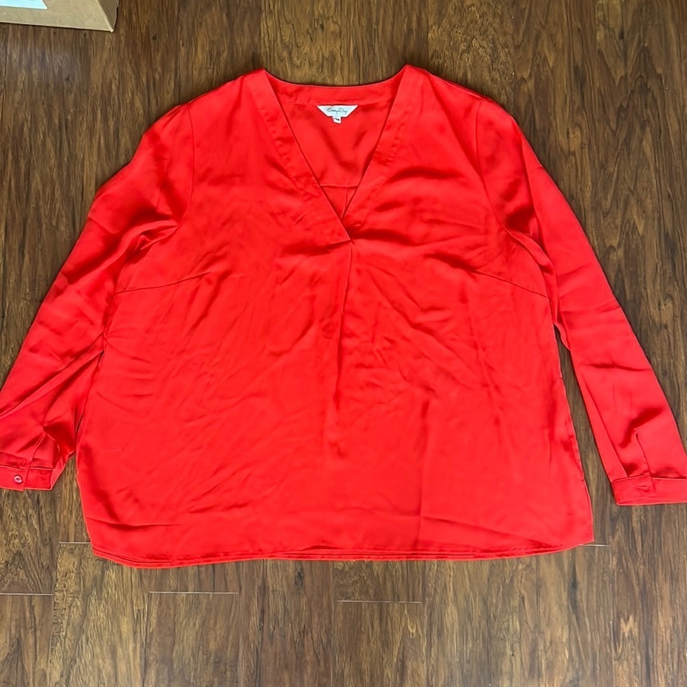 Red Long Sleeve V-neck Blouse